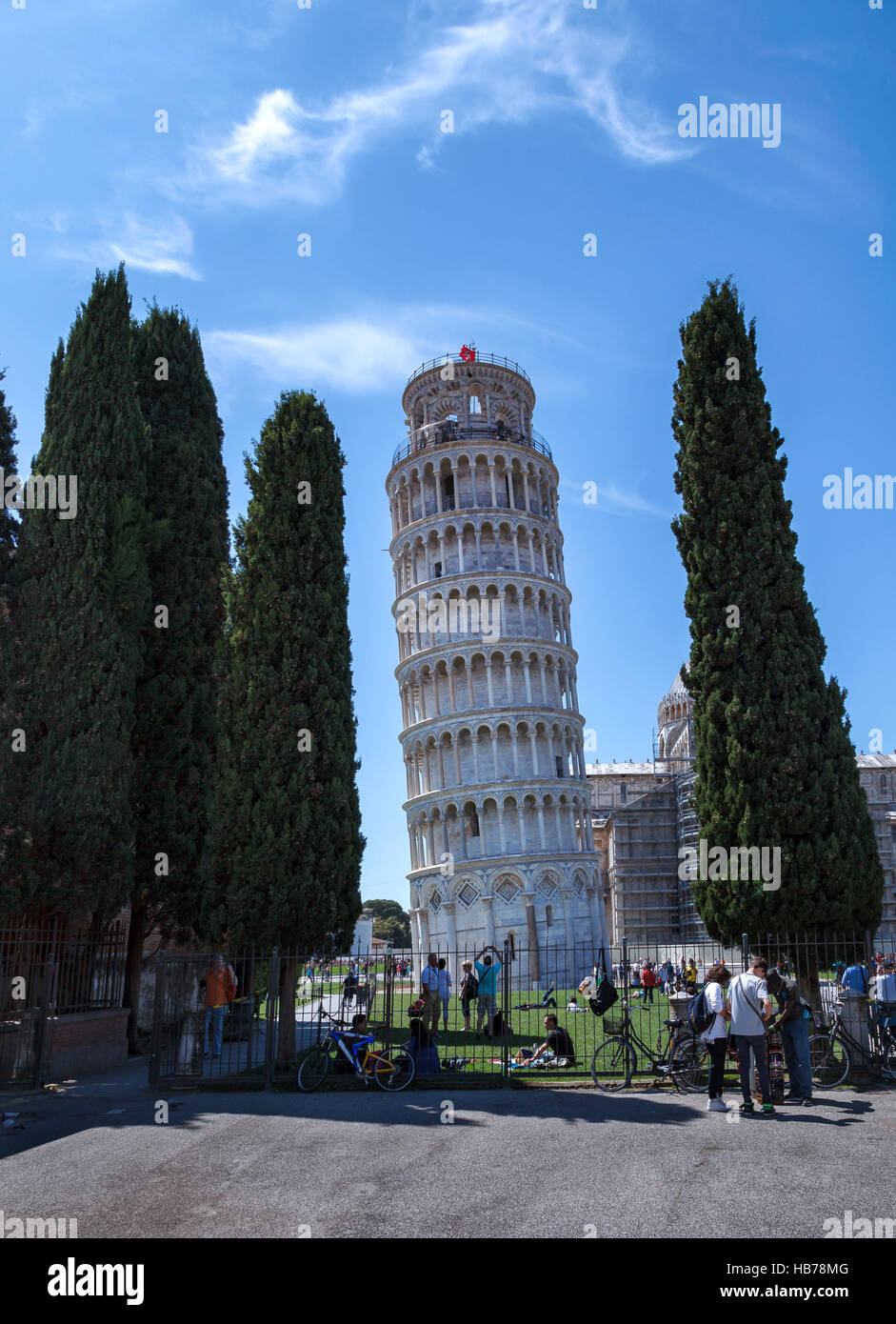 Torre pendente di Pisa in Italia vista attraverso i cipressi. Foto Stock