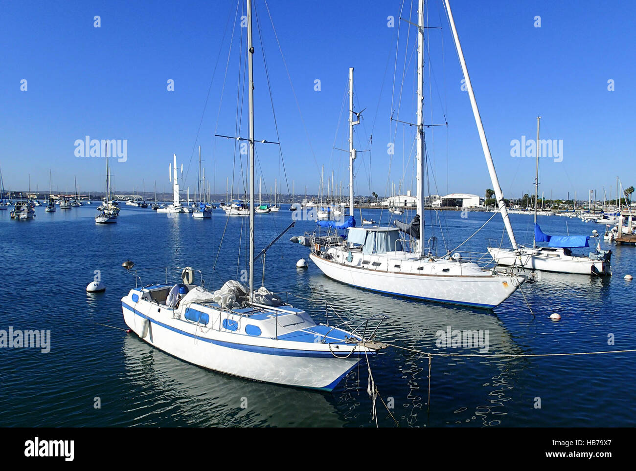 Più Barche a vela legati e ormeggiata in una San Diego Marina Foto Stock