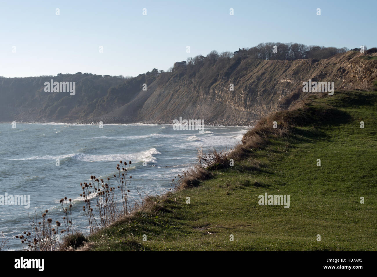 Scogliere Durlston, visto da: Peveril pinta, Swanage, Dorset, Regno Unito Foto Stock