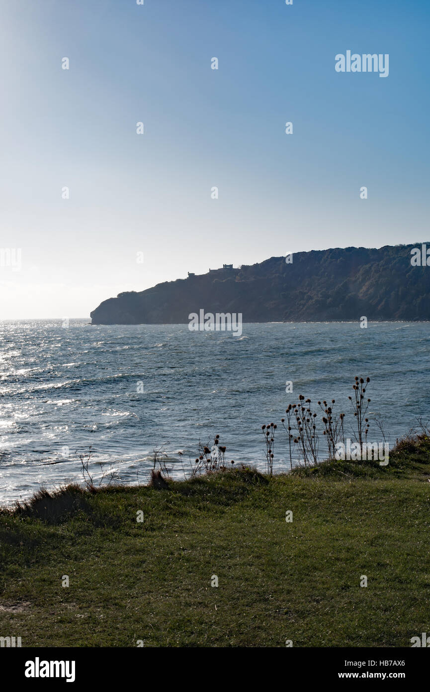 Testa Durlston, Swanage, Dorset Foto Stock