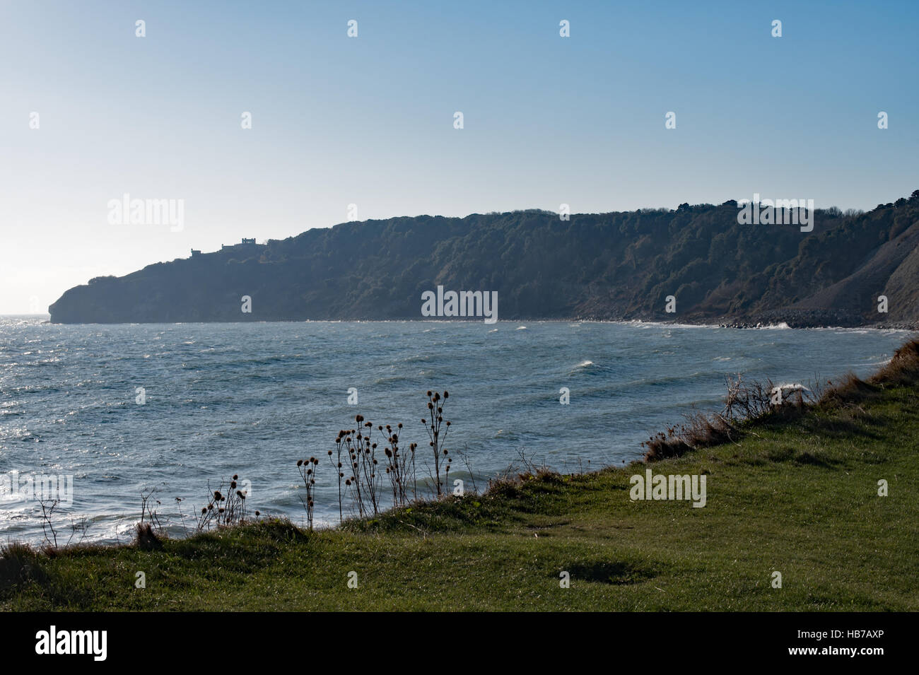 Testa Durlston, Swanage, Dorset Foto Stock