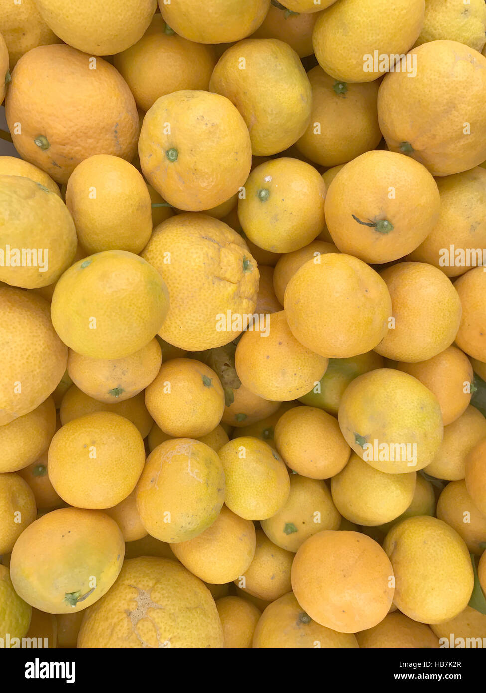 Diversi i tangerini fare un background di frutta Foto Stock