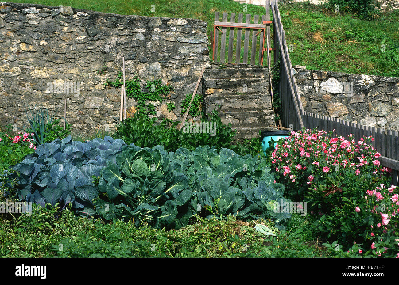 Garden cottage, giardino letti, Foto Stock