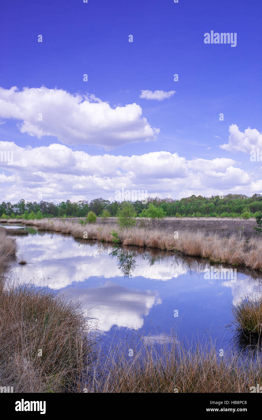 Attracchi il paesaggio Foto Stock