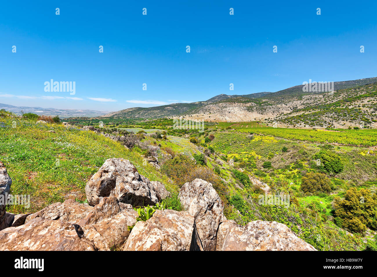 Alture del Golan Foto Stock