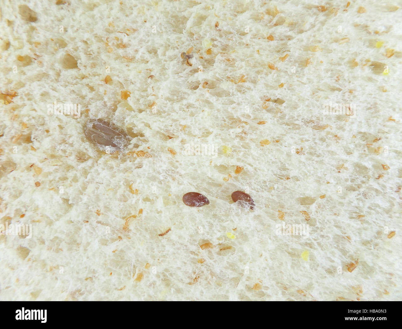 Texture di grani interi pane, Chiusi, sfondo Foto Stock