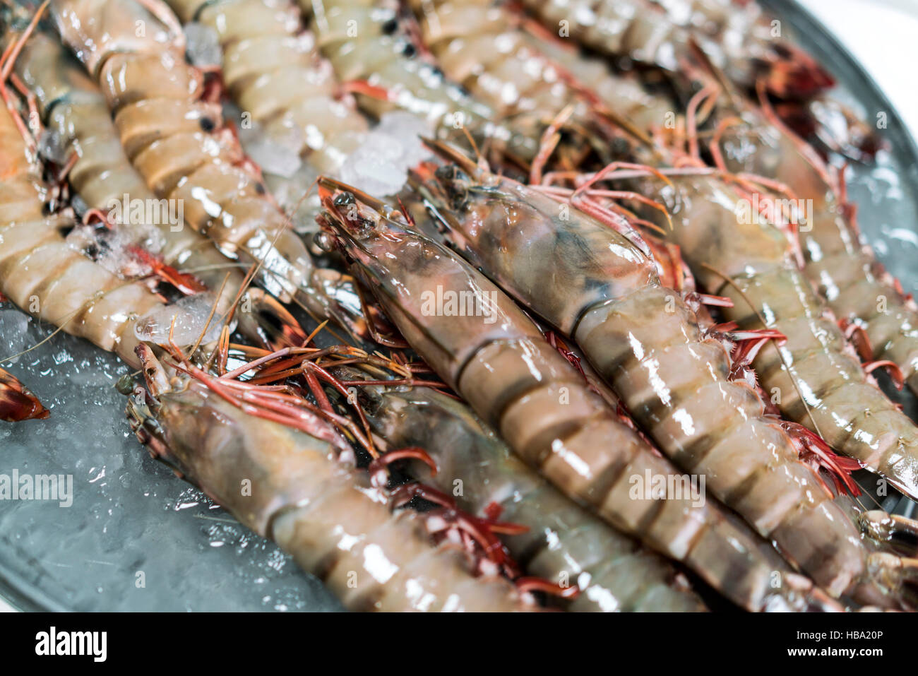 Gamberi freschi per la vendita al mercato di Hainan in Cina Foto Stock