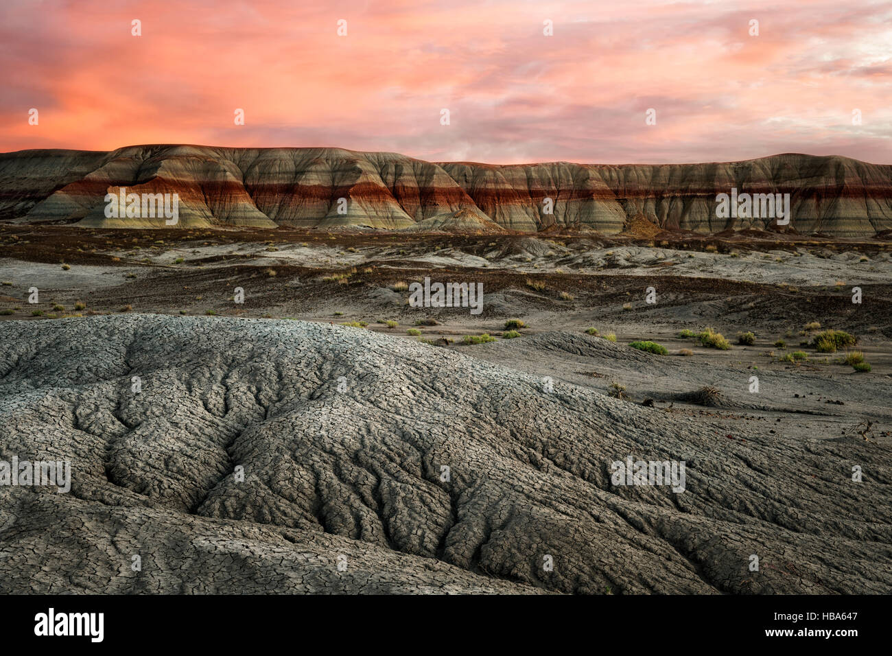 La luminosità del tramonto sul distintivo strisce rosse evidenziare queste badlands vicino a Blue Mesa in Arizona Parco Nazionale della Foresta pietrificata. Foto Stock