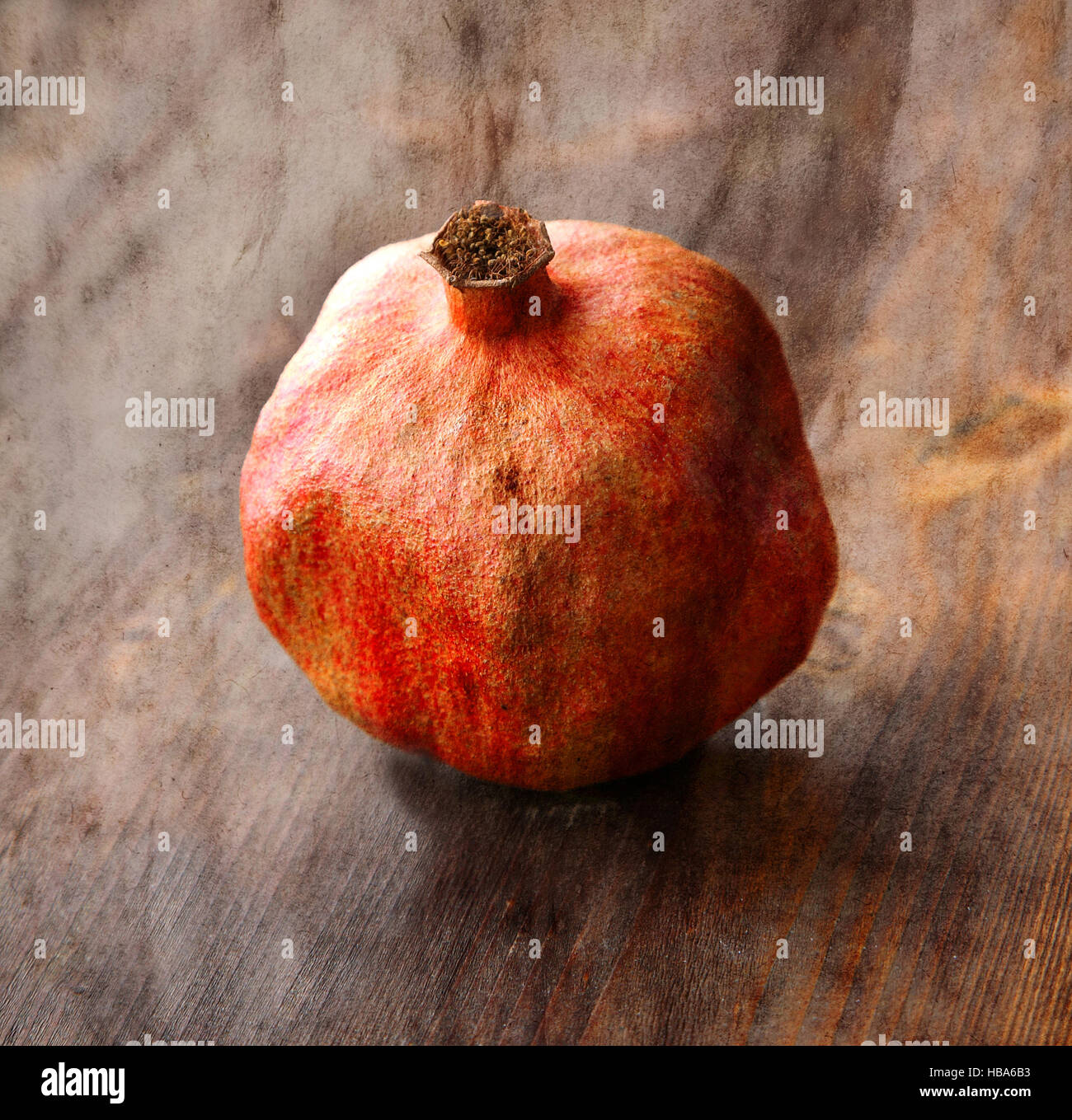 Vintage lo sfondo con il vecchio melograno secco Foto Stock