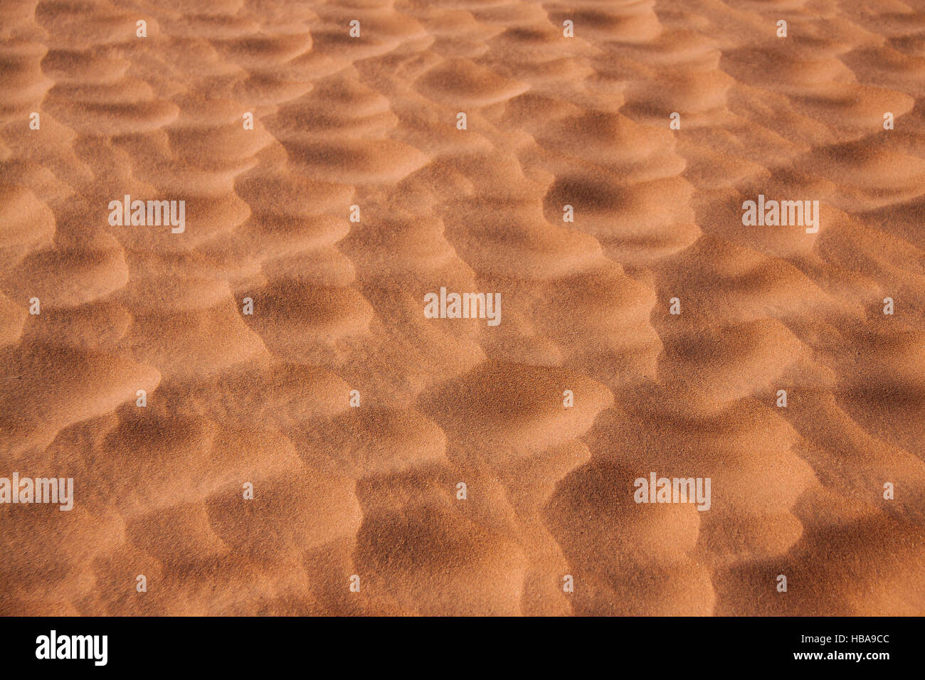 La texture di sabbia rossa del Desert Dune, Namibia Foto Stock