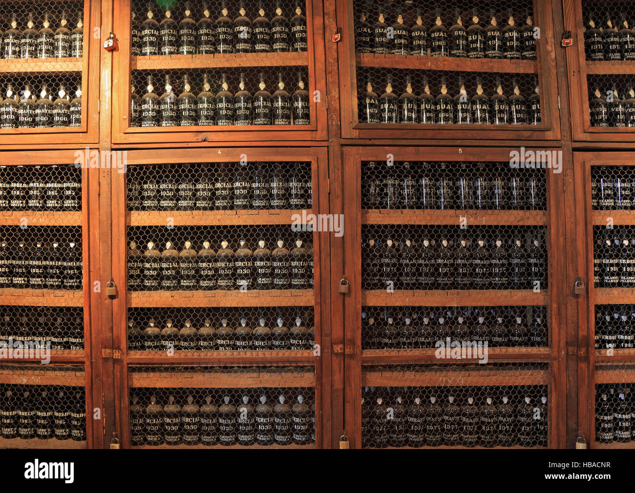 Museo di costosi vintage vino Madera Foto Stock