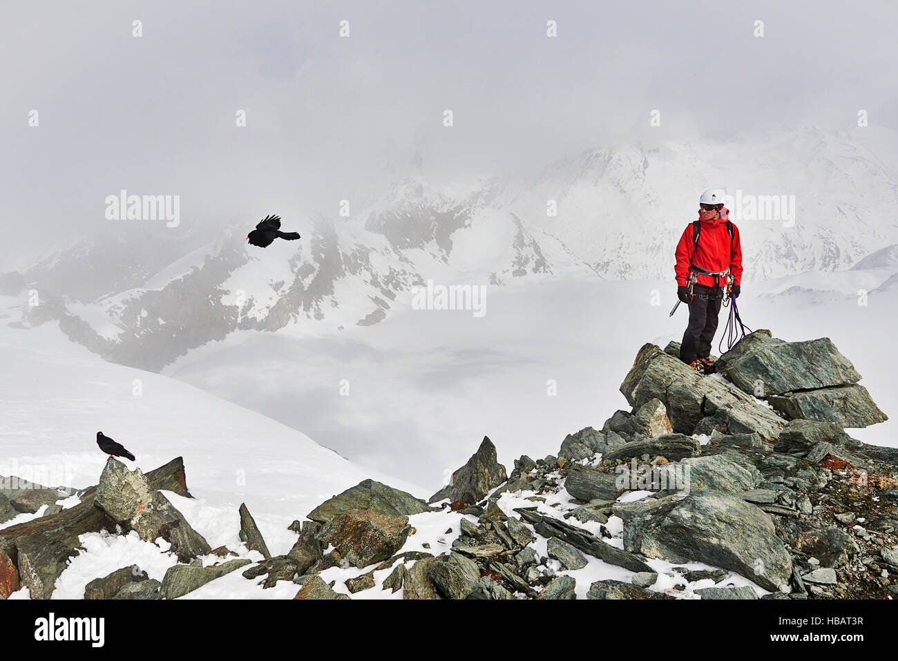 Uomo sulla cima coperta di neve montagna guardando uccello in volo, Saas Fee, Svizzera Foto Stock