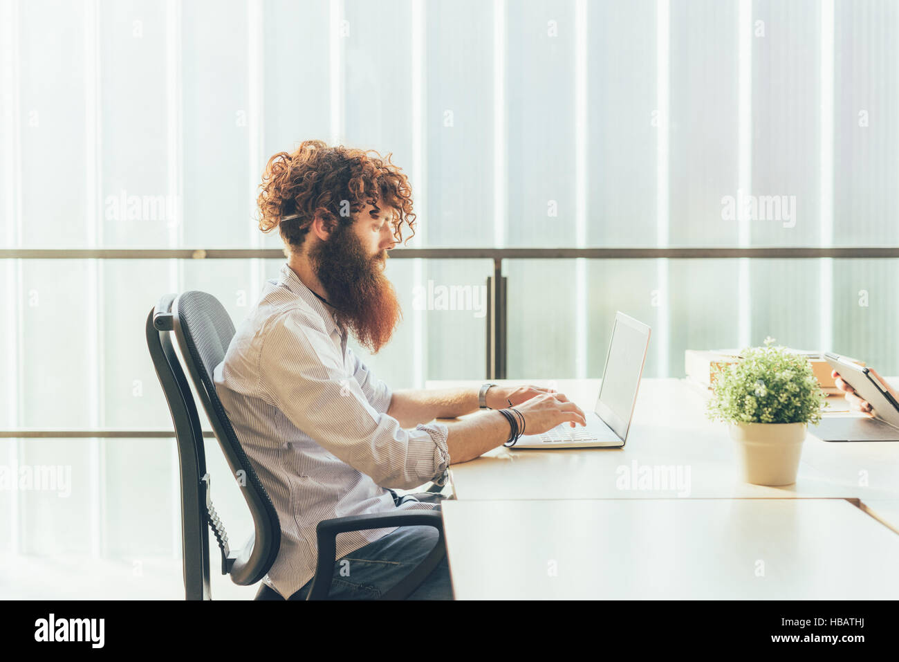 Giovane maschio hipster con capelli rossi e barba digitando su laptop alla scrivania Foto Stock