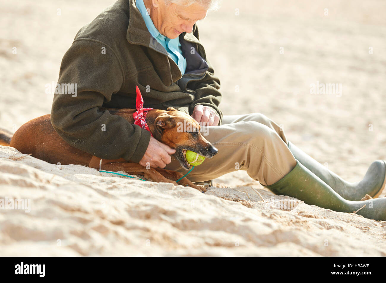 Uomo e cane seduto sulla spiaggia, Constantine Bay, Cornwall, Regno Unito Foto Stock