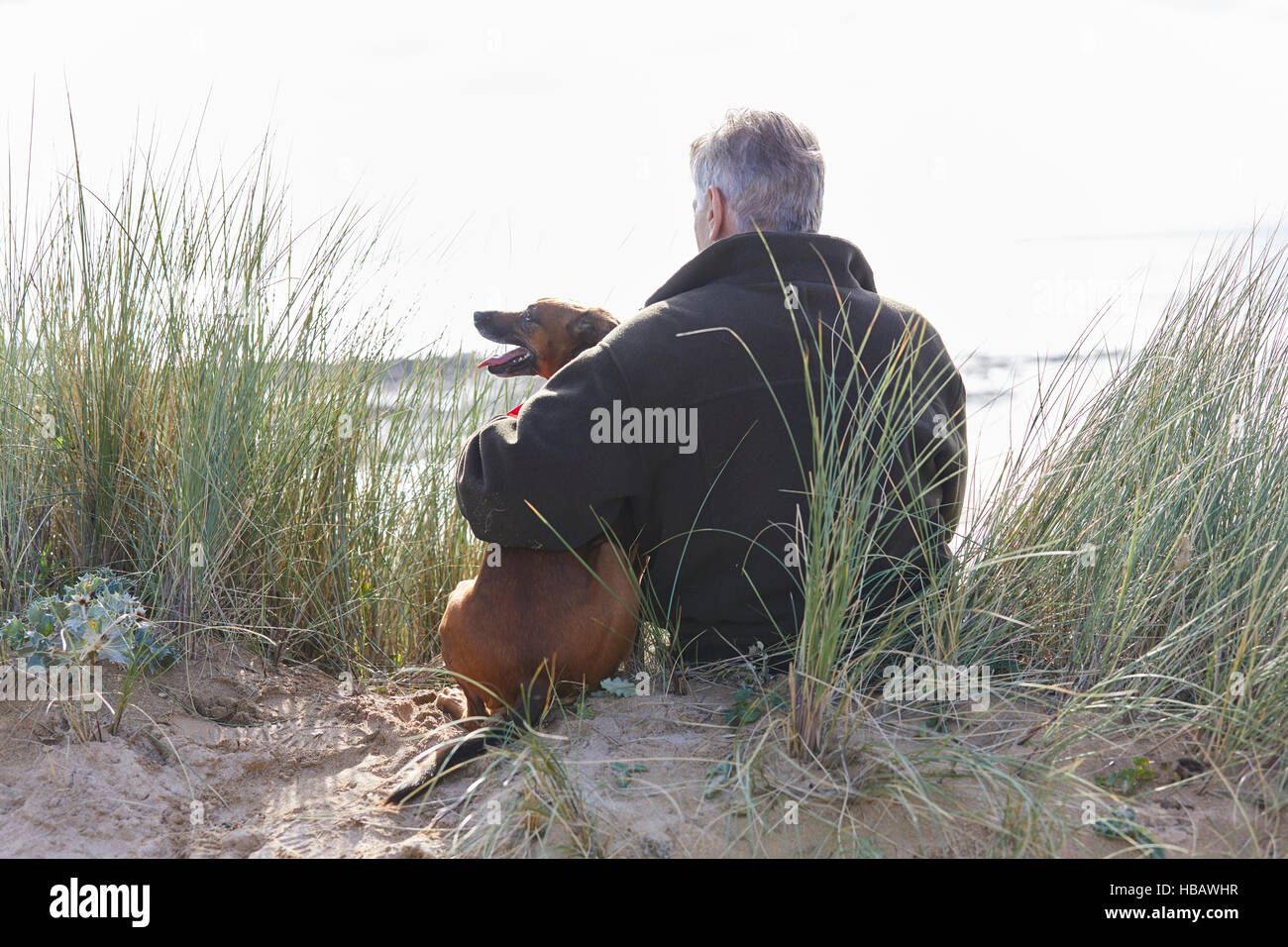 Vista posteriore di uomo e cane seduti sulle dune di sabbia, Constantine Bay, Cornwall, Regno Unito Foto Stock