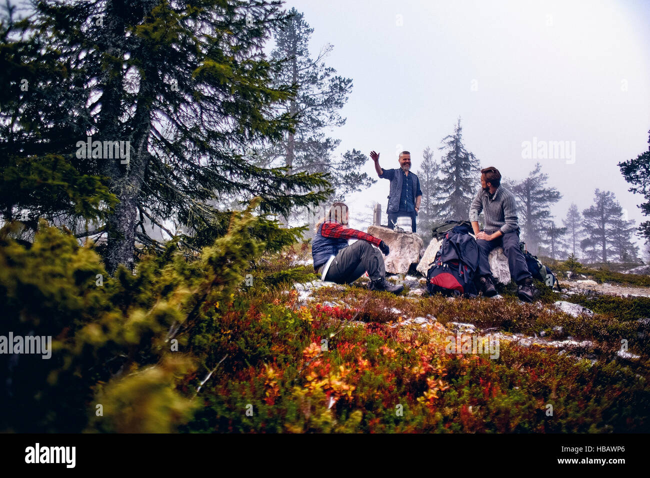 Gli escursionisti rilassante e chiacchierando in parco, Sarkitunturi, Lapponia, Finlandia Foto Stock