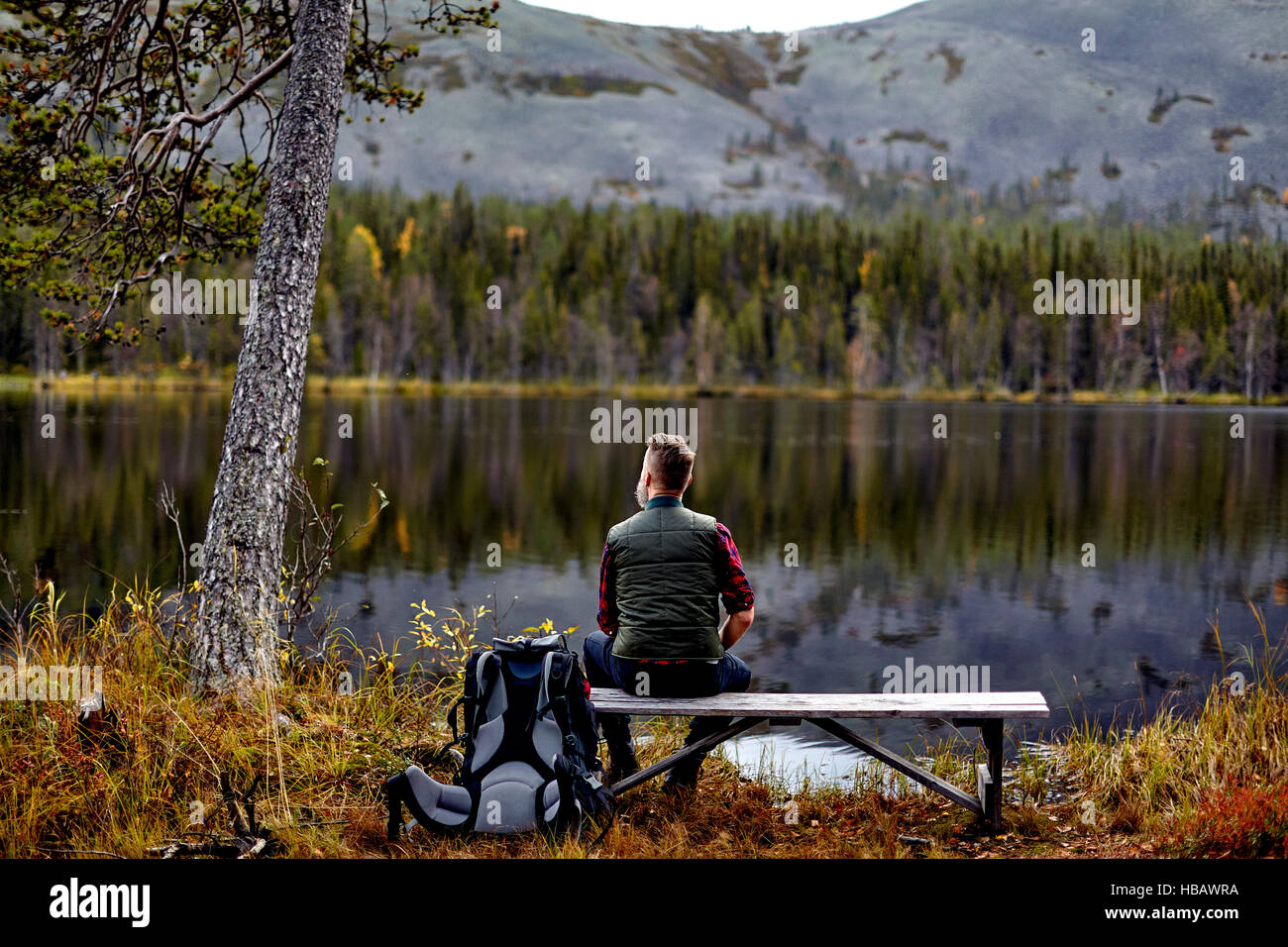 Escursionista in appoggio sul banco, guardando a lago, Kesankijarvi, Lapponia, Finlandia Foto Stock