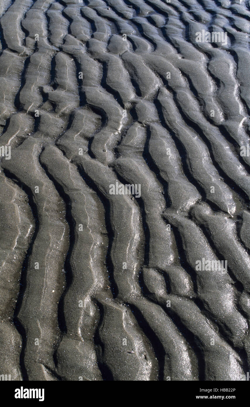 Contrassegni di ripple nel mare di Wadden Foto Stock