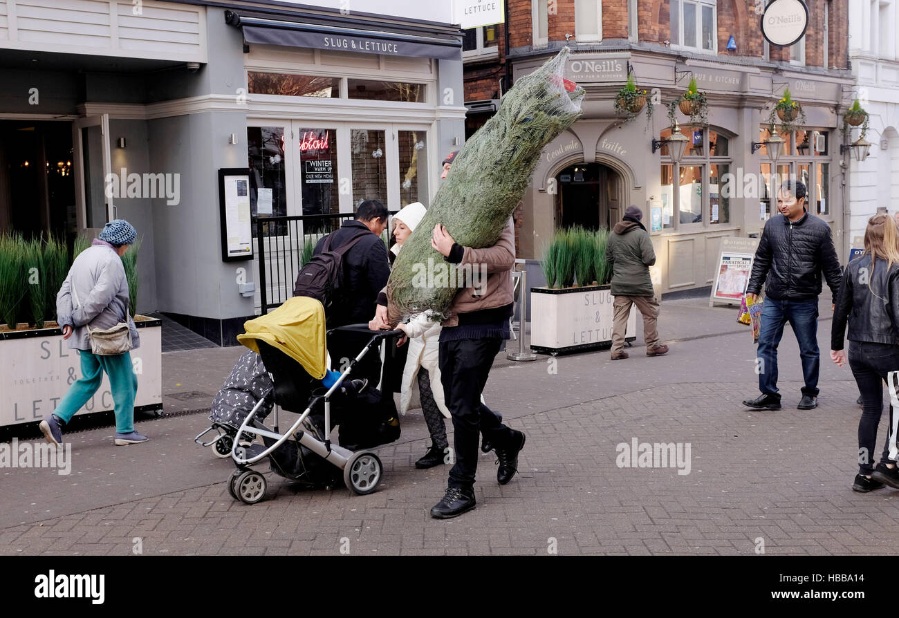 Uomo con la sua famiglia che porta un vero albero di Natale appena acquistato a Sutton Surrey Regno Unito Foto Stock