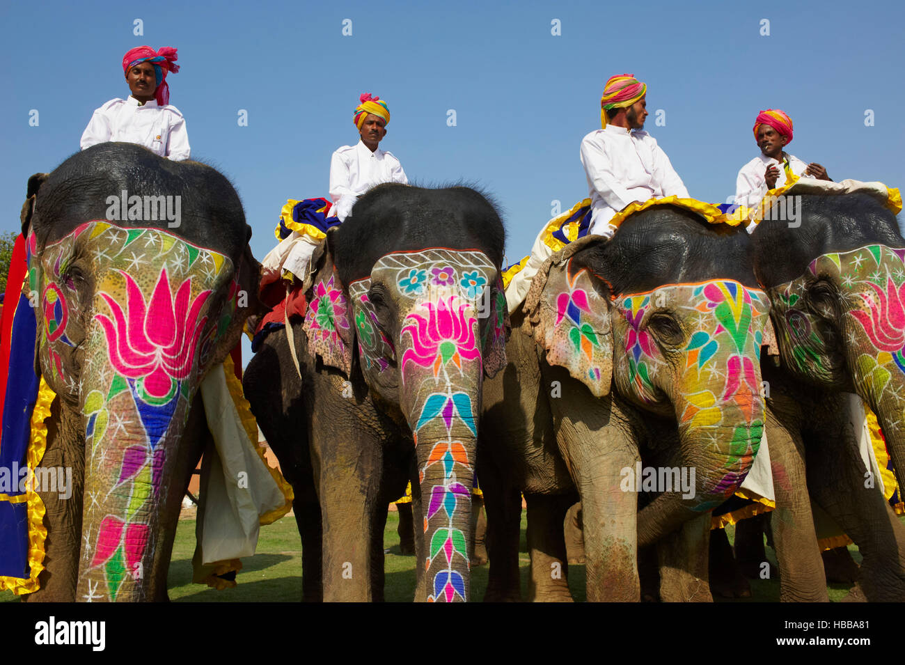 Inde, Rajasthan, Jaipur, le Festival des elefanti qui se deroule lors de la fete de Holi. // India Rajasthan, Jaipur, il festival di elefante. Foto Stock