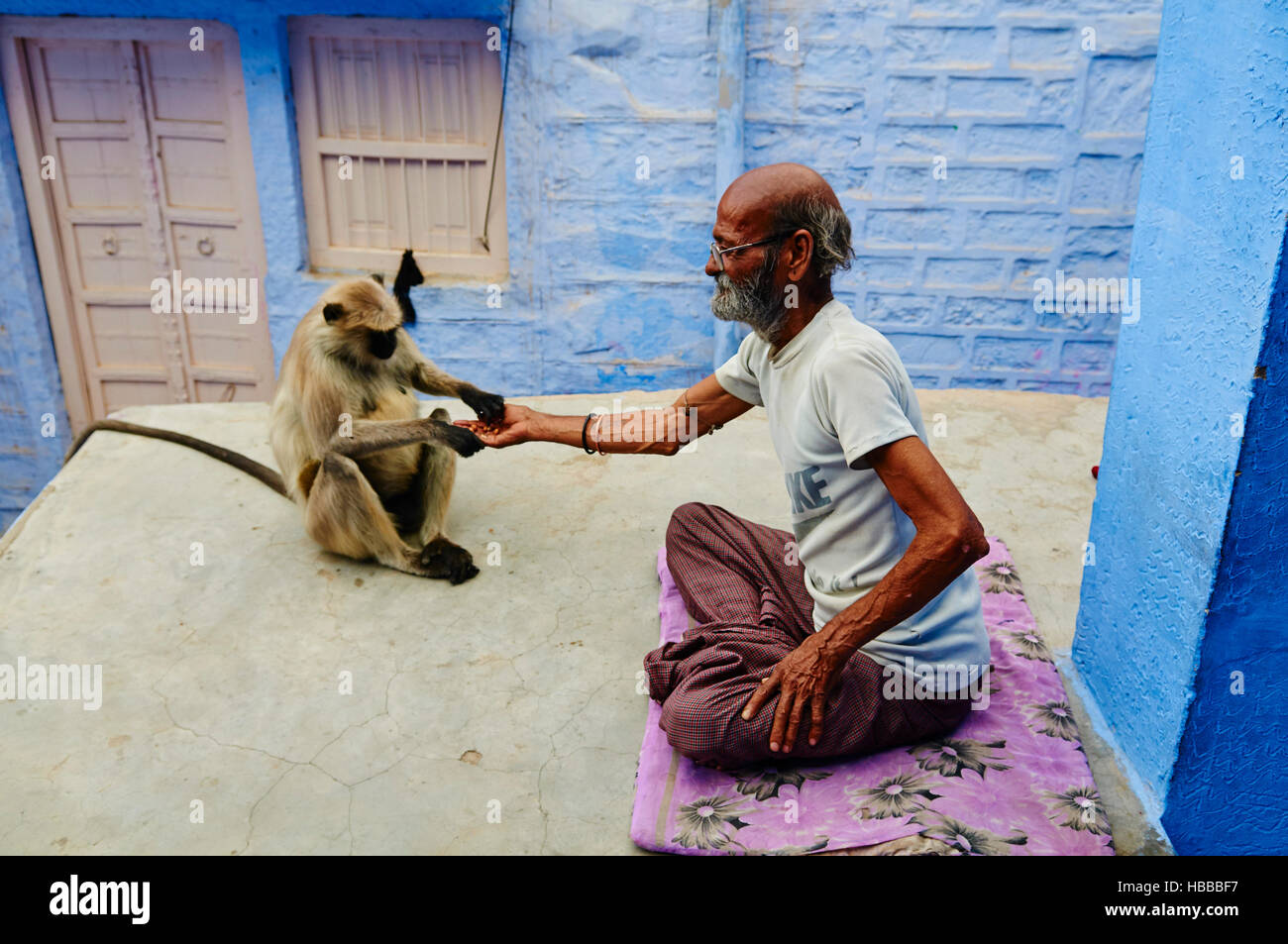 Inde, Rajasthan, Jodhpur la ville bleue // India Rajasthan, Jodhpur la città blu Foto Stock