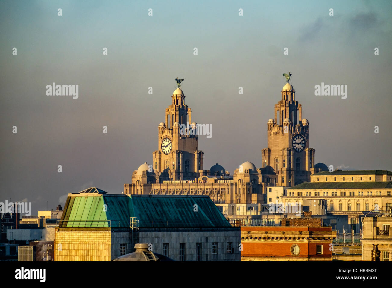 Liver Building Foto Stock