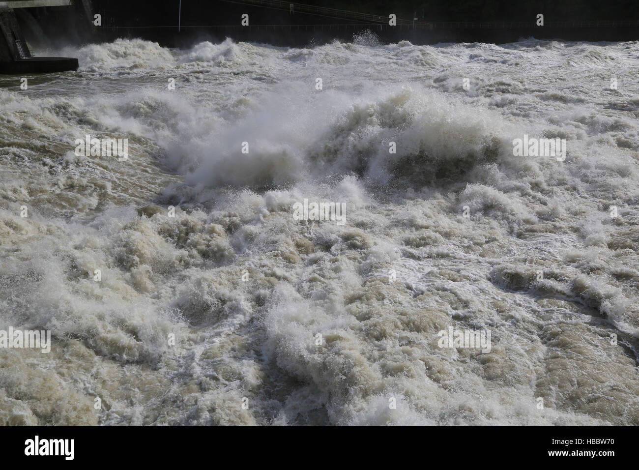 Alluvione presso il fiume Reno Foto Stock