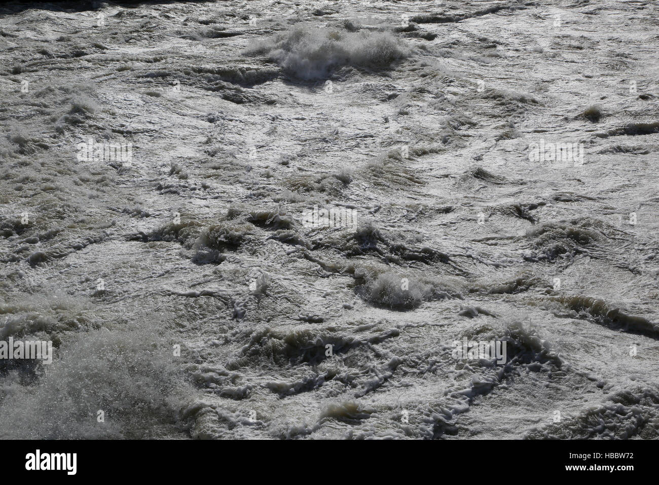 Alluvione presso il fiume Reno Foto Stock