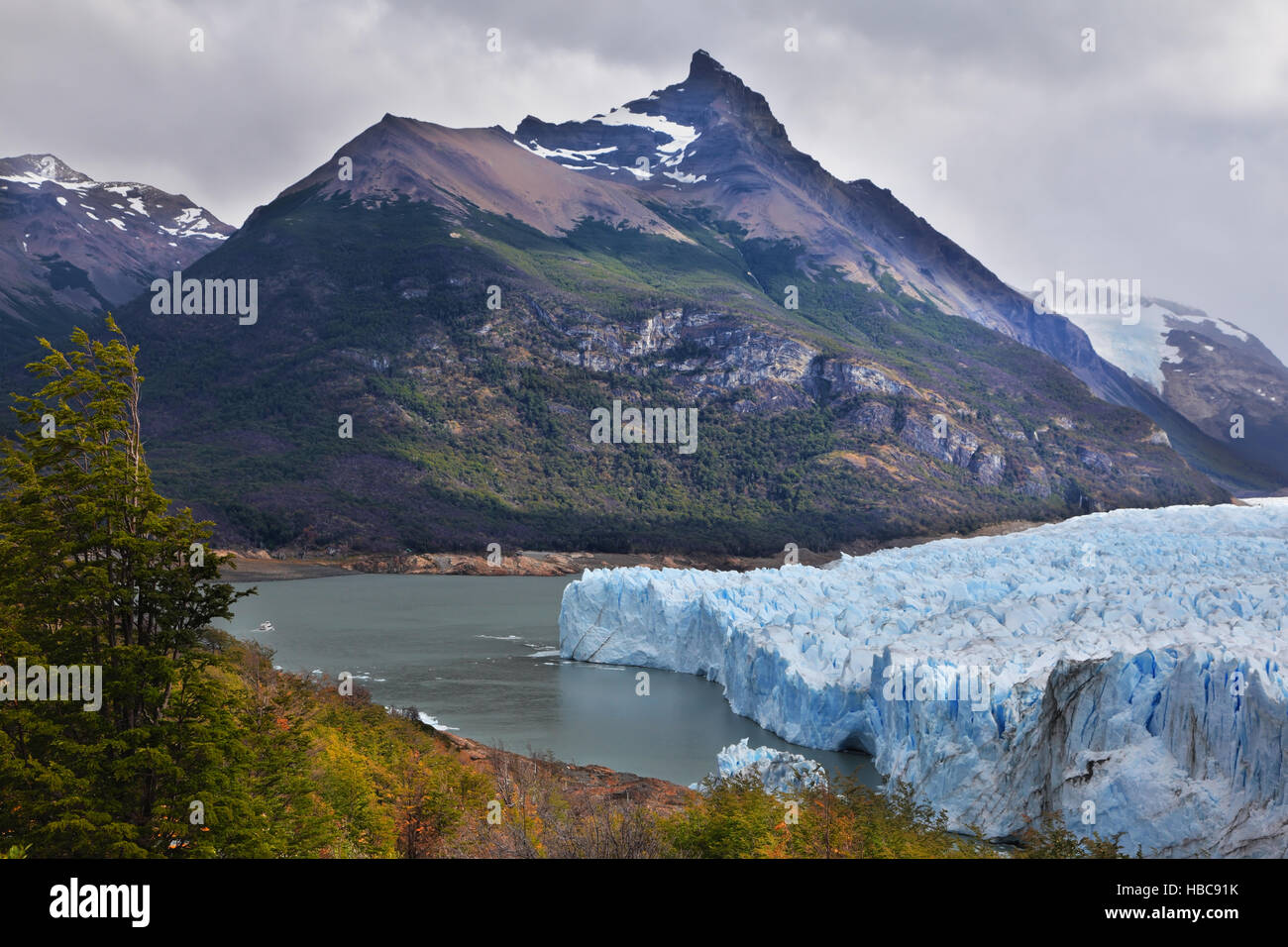Parco nazionale Los Glaciares in Patagonia Foto Stock