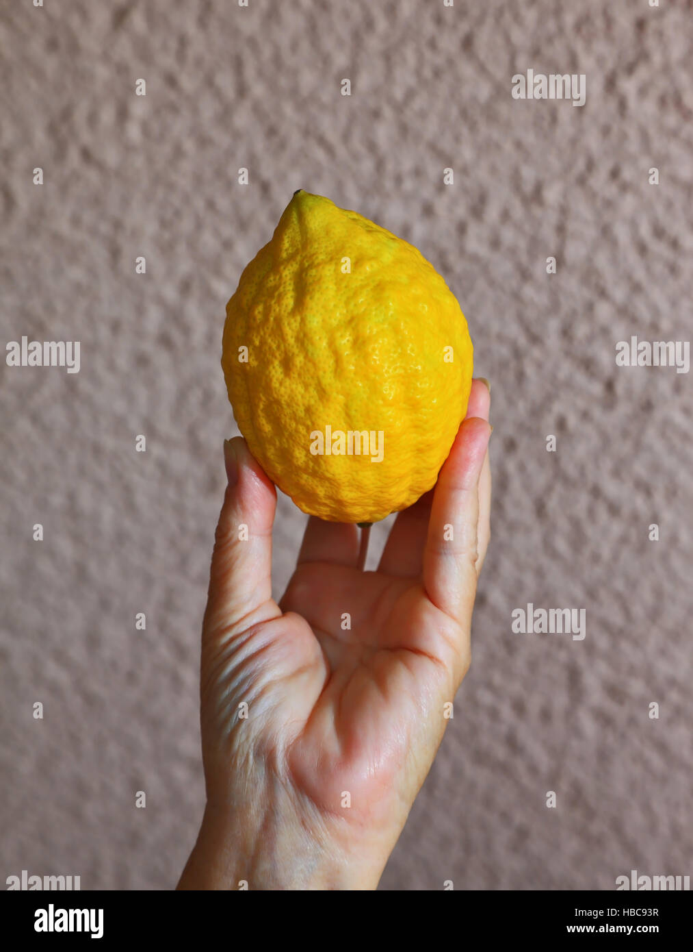 In autunno la tradizione - Sukkot Foto Stock