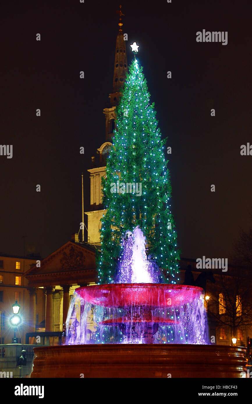 Londra, Regno Unito. Il 5 dicembre 2016. Trafalgar Square albero di Natale e una fontana in Trafalgar Square, Londra, Regno Unito. Credito: Paul Brown/Alamy Live News Foto Stock