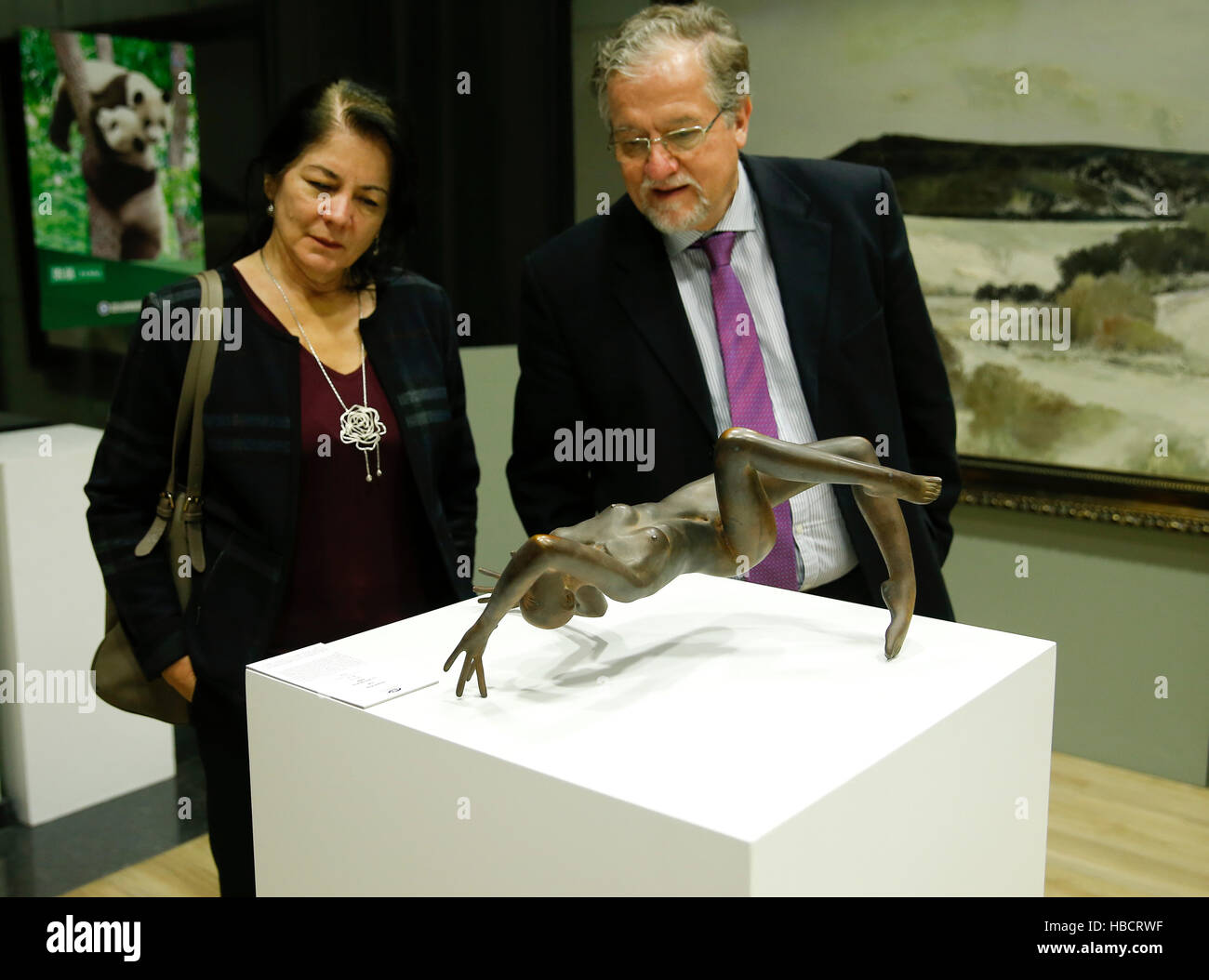 Bruxelles, Belgio. 6 dicembre, 2016. Visitatori visualizza una scultura in arte & la Pace International Tour mostra di cinese contemporanea opere d'Arte presso la Cina centro culturale a Bruxelles, Belgio, 6 dicembre 2016. La mostra è stata aperta il martedì. © Ye Pingfan/Xinhua/Alamy Live News Foto Stock