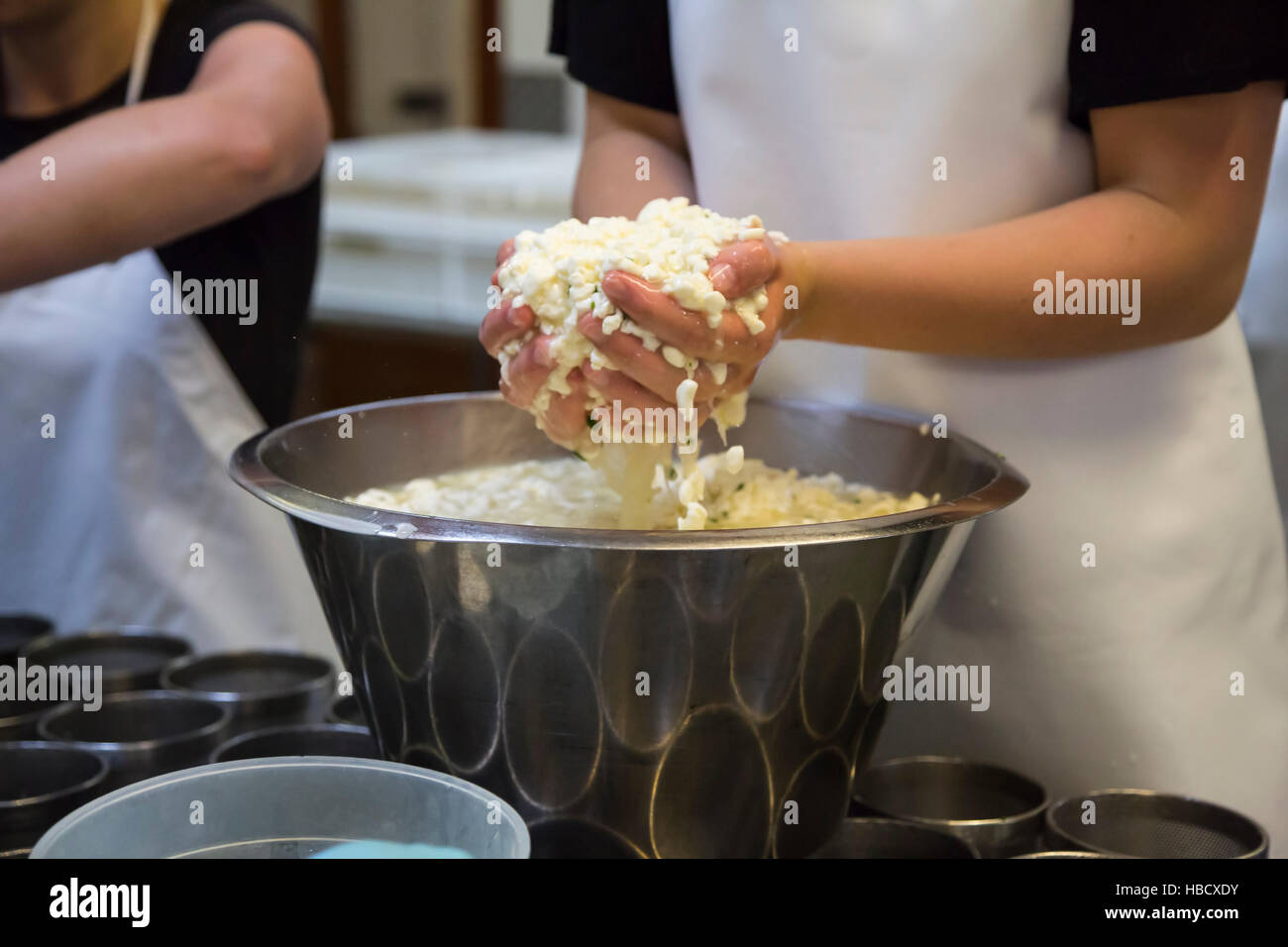 Lavorando in latteria la produzione di formaggio in fattoria a Loch Arthur comunità Camphill, Dumfries and Galloway, Scozia Foto Stock
