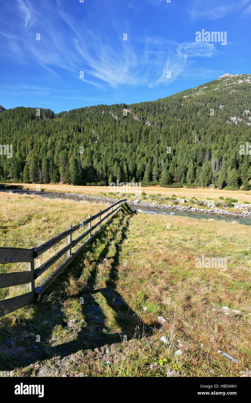 Ombra della recinzione bassa giacciono sull'erba Foto Stock