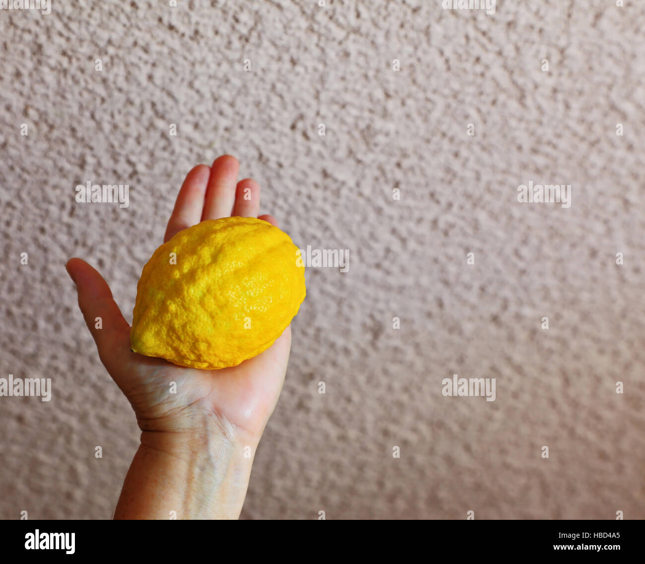 Rituale etrog Foto Stock