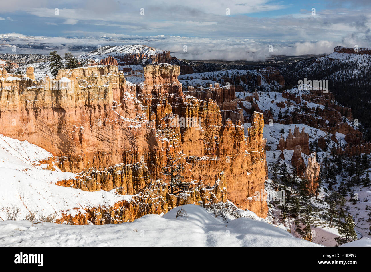 Inverno vista da Rim Trail a Bryce Canyon National Park nel sud dello Utah. Foto Stock