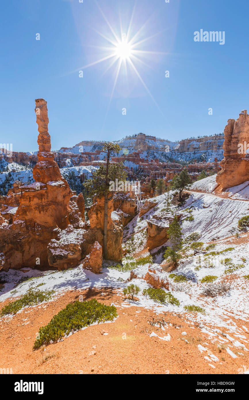 Hoodoos, sole e neve a Bryce Canyon National Park nel sud dello Utah. Foto Stock