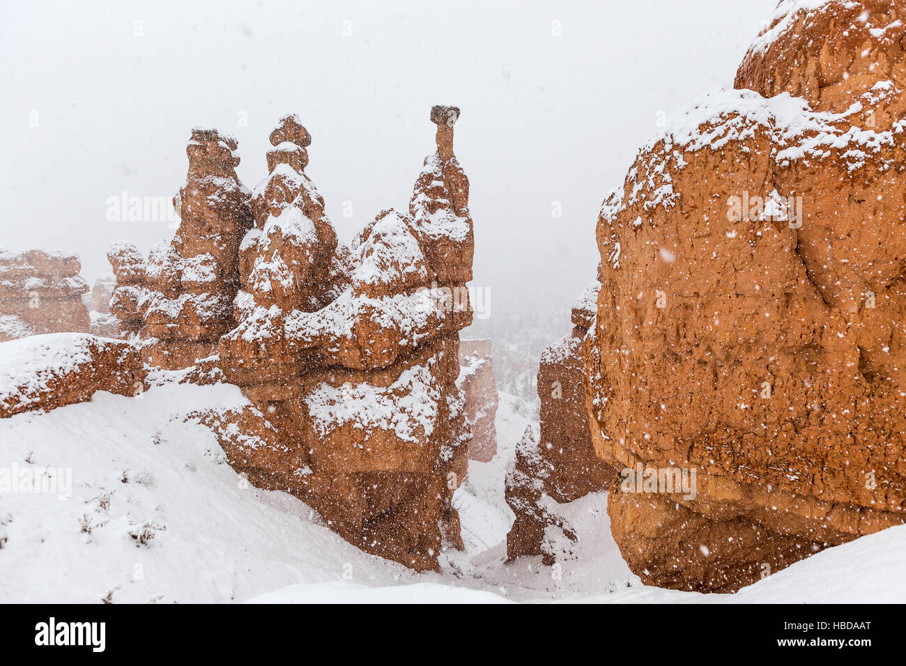 Inverno Meteo e neve caduta sul hoodoos al Parco Nazionale di Bryce Canyon nel sud dello Utah. Foto Stock