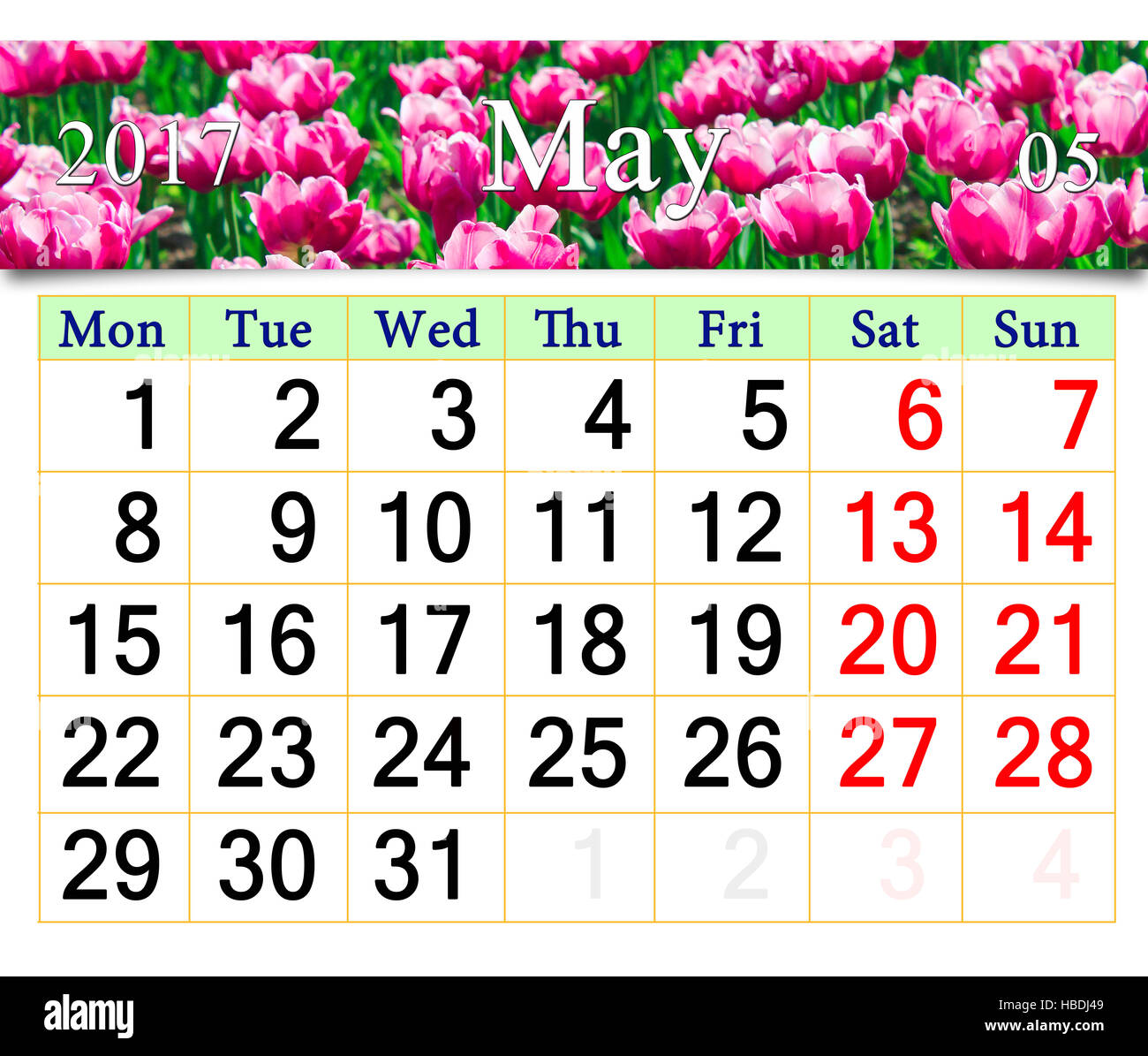 Calendario per il mese di maggio 2017 sullo sfondo di tulipani rossi in giardino Foto Stock