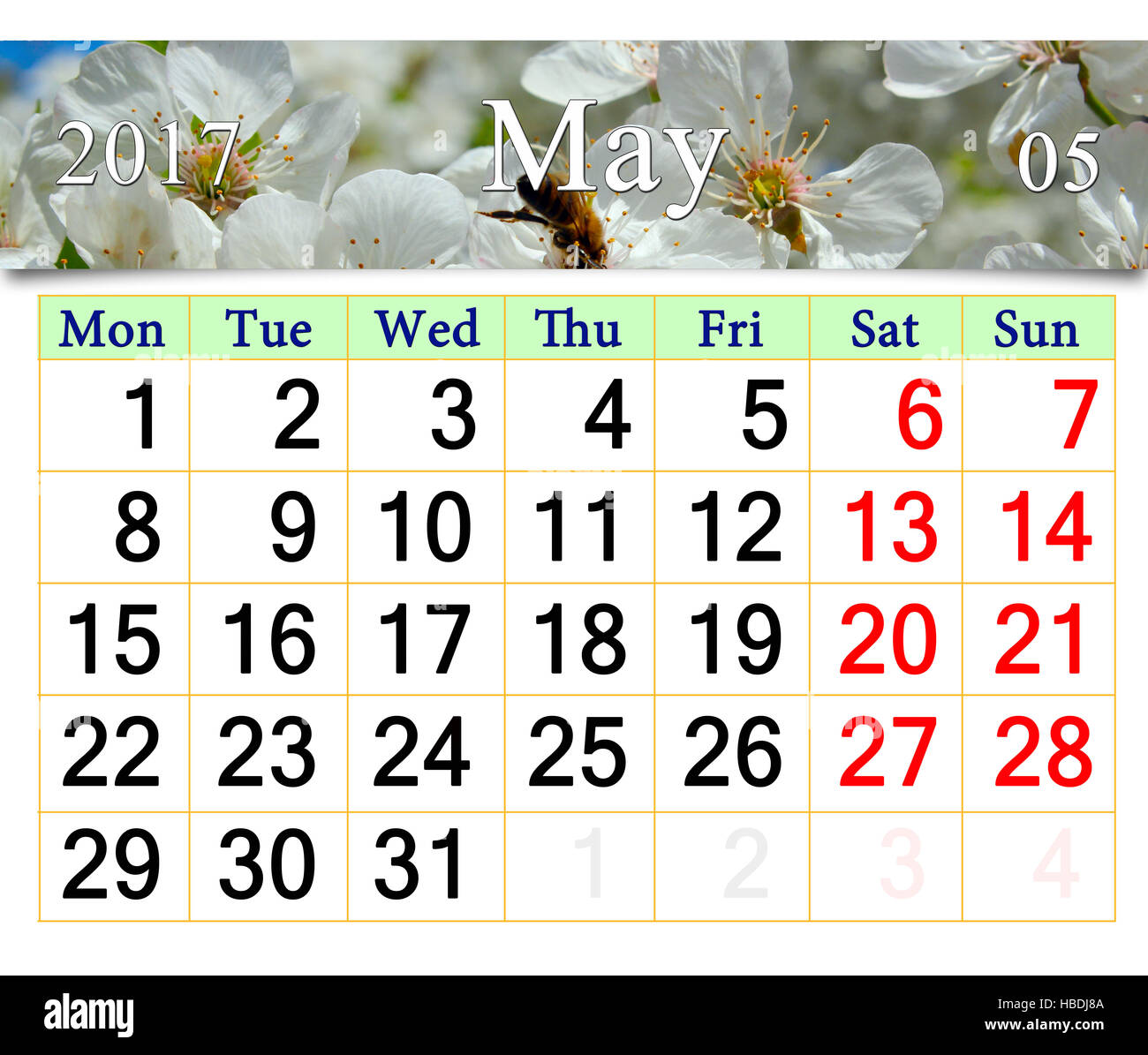 Calendario per il mese di maggio 2017 con fiore bianco ciliegio Foto Stock