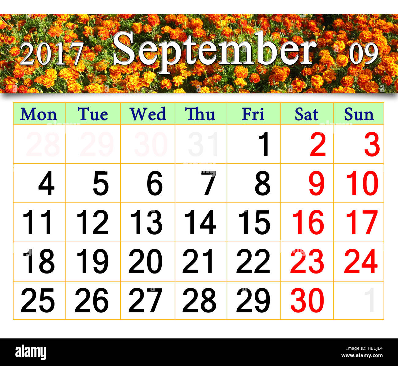Calendario per il mese di settembre 2017 con immagine di fiori di Le calendule Foto Stock