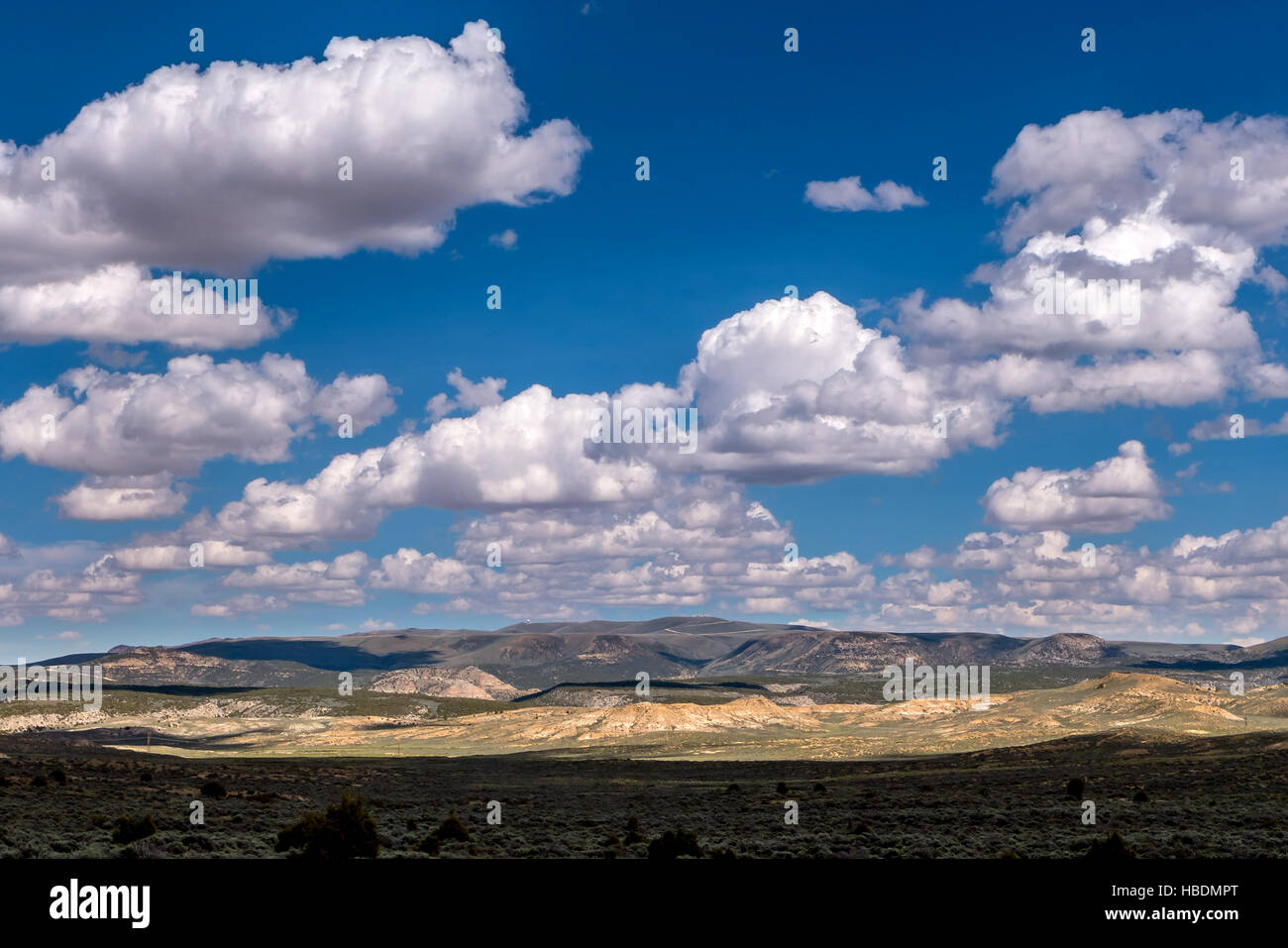 Viste attraverso le praterie di America rurale nel Montana Foto Stock