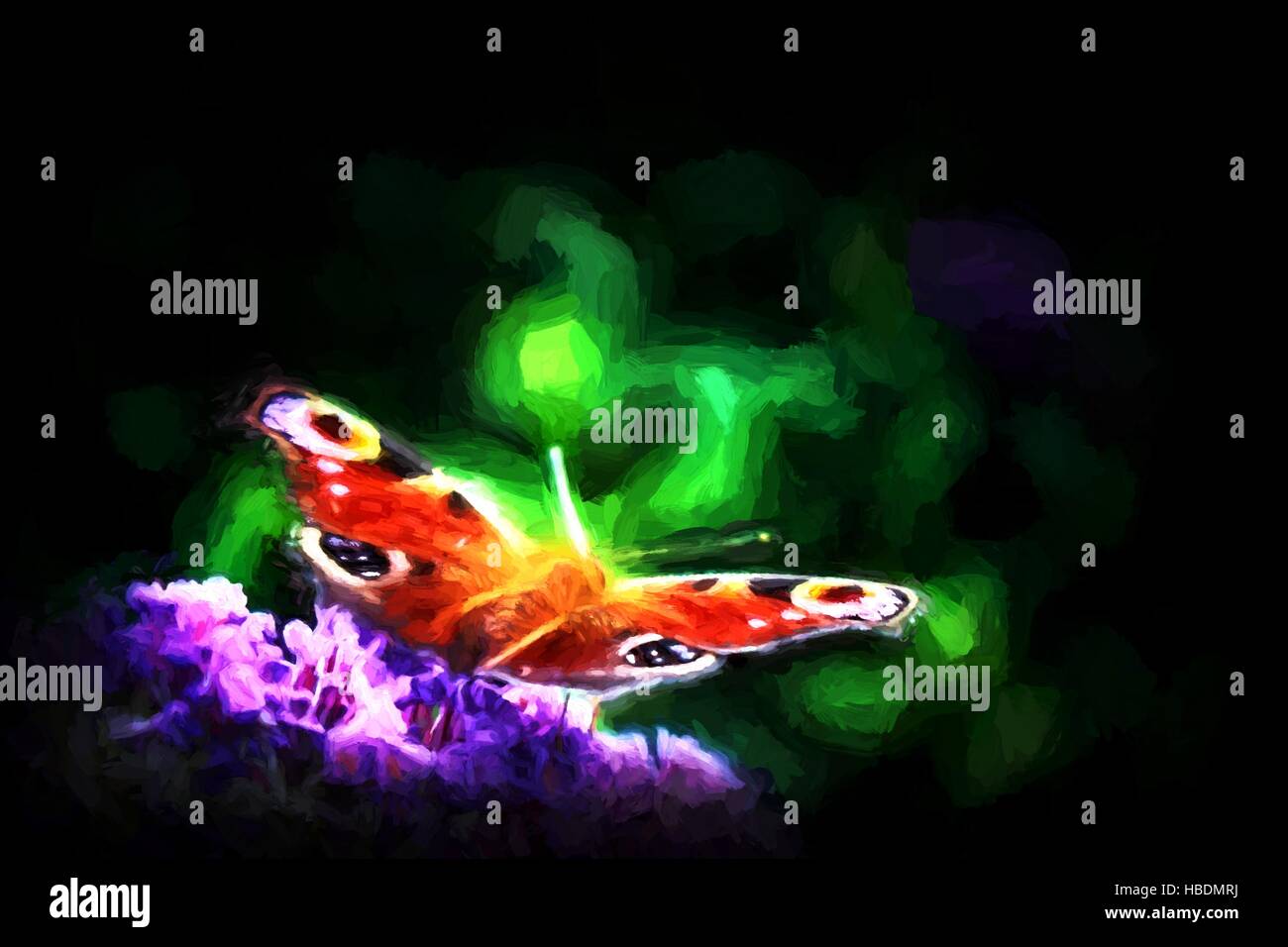 Farfalla Foto Stock