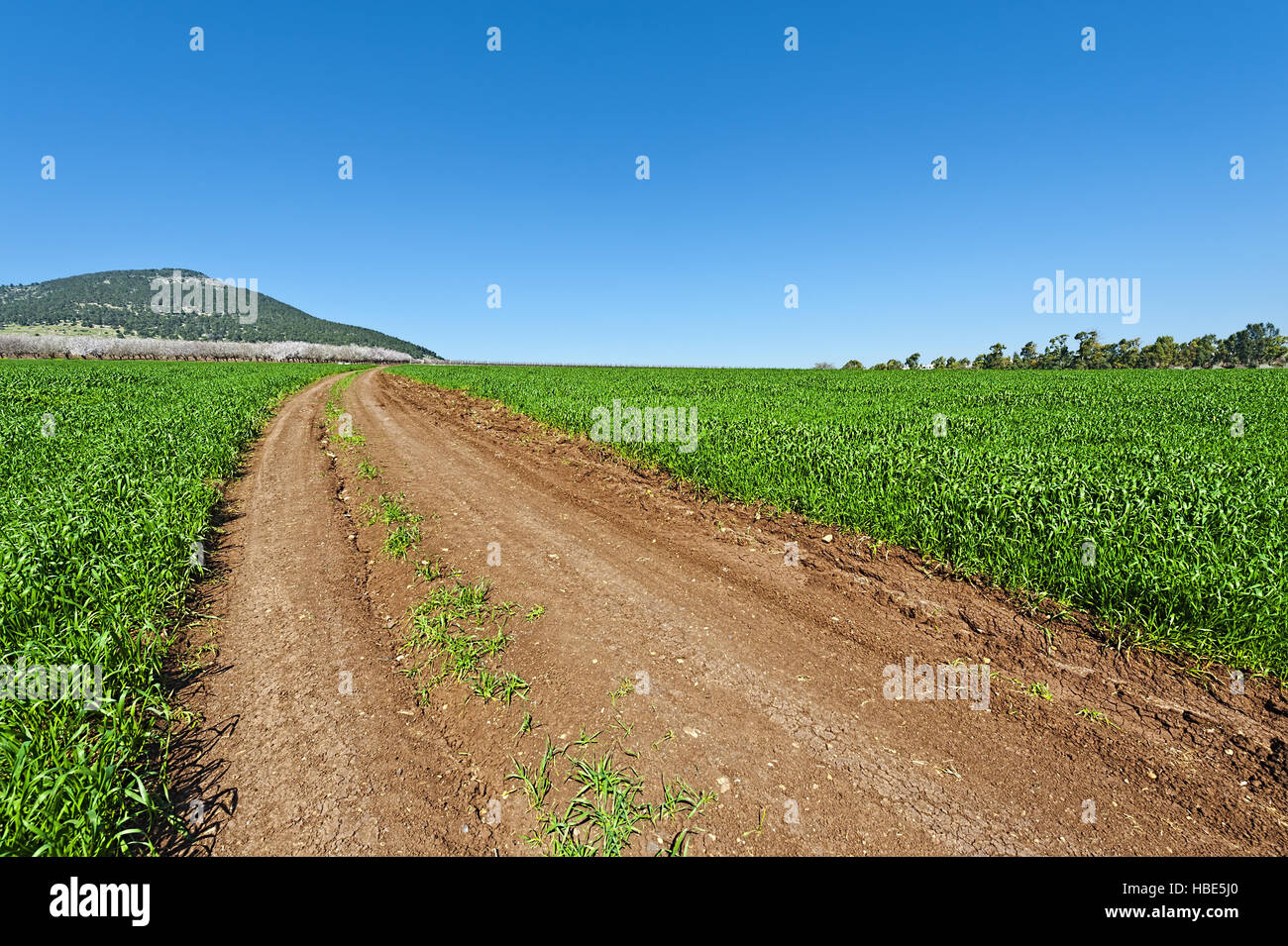 Il Monte Tabor in Israele Foto Stock