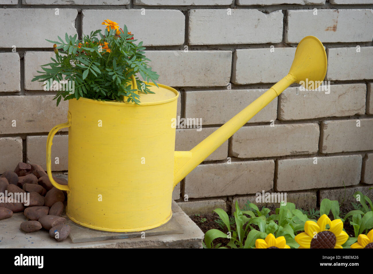 Vecchio in irrigazione garden design Foto Stock