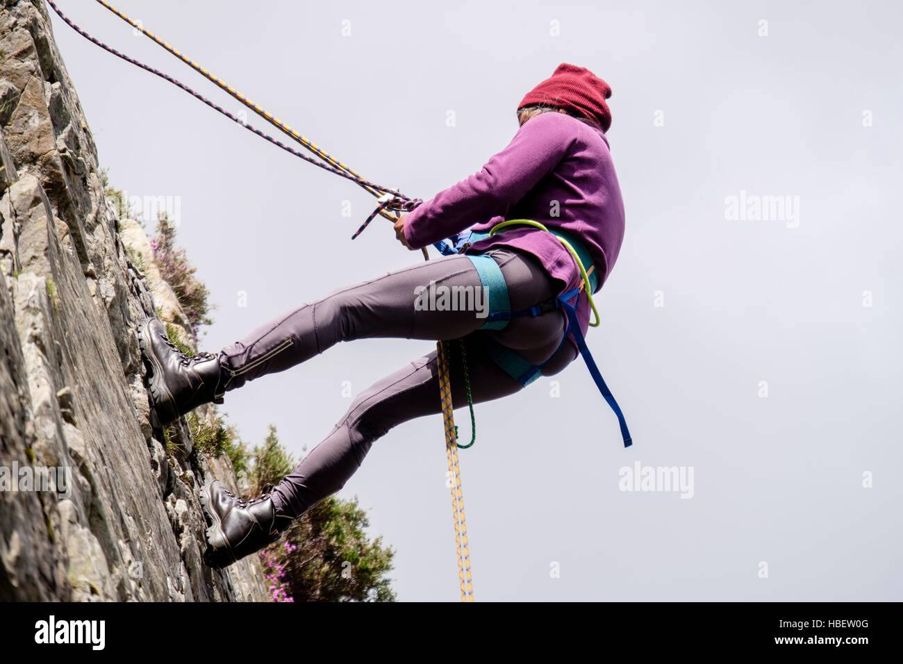 Female Rock scalatore la discesa in corda doppia giù con la fune di sicurezza su un rockface visto da sotto. Il Galles del Nord, Regno Unito, Gran Bretagna Foto Stock