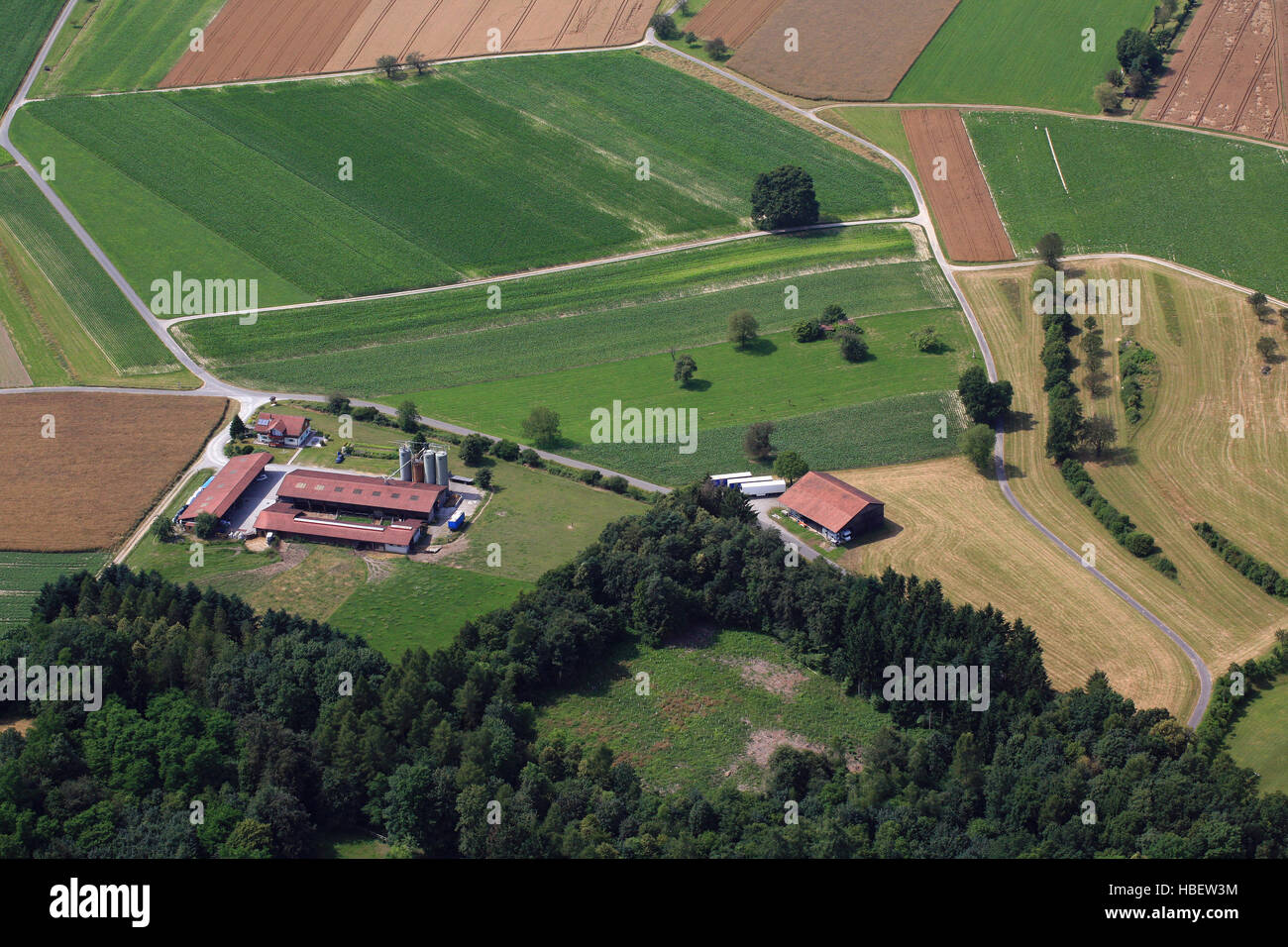 Wallbach, Schweiz, Bauernhof Landwirtschaft Foto Stock