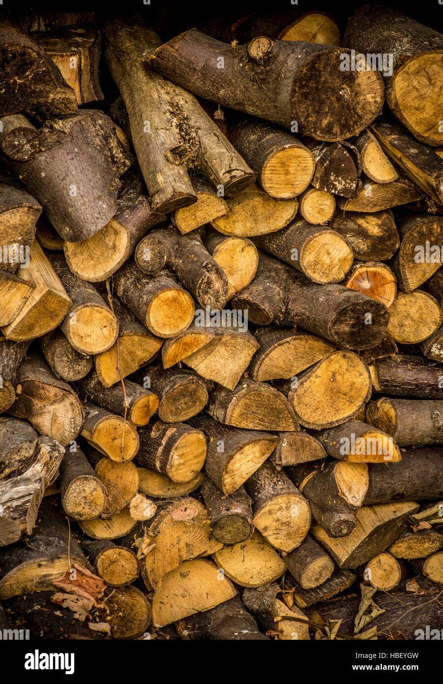 Log in negozio Giardino invernale per la masterizzazione su stufa Foto Stock