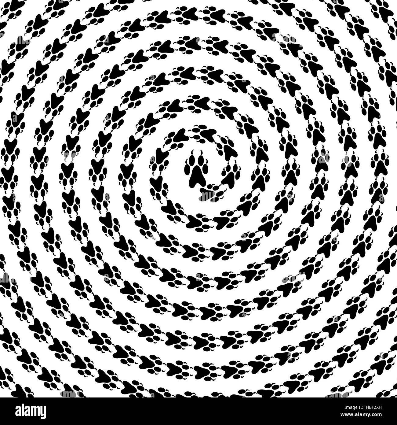 Cane zampa animale Pattern Foto Stock