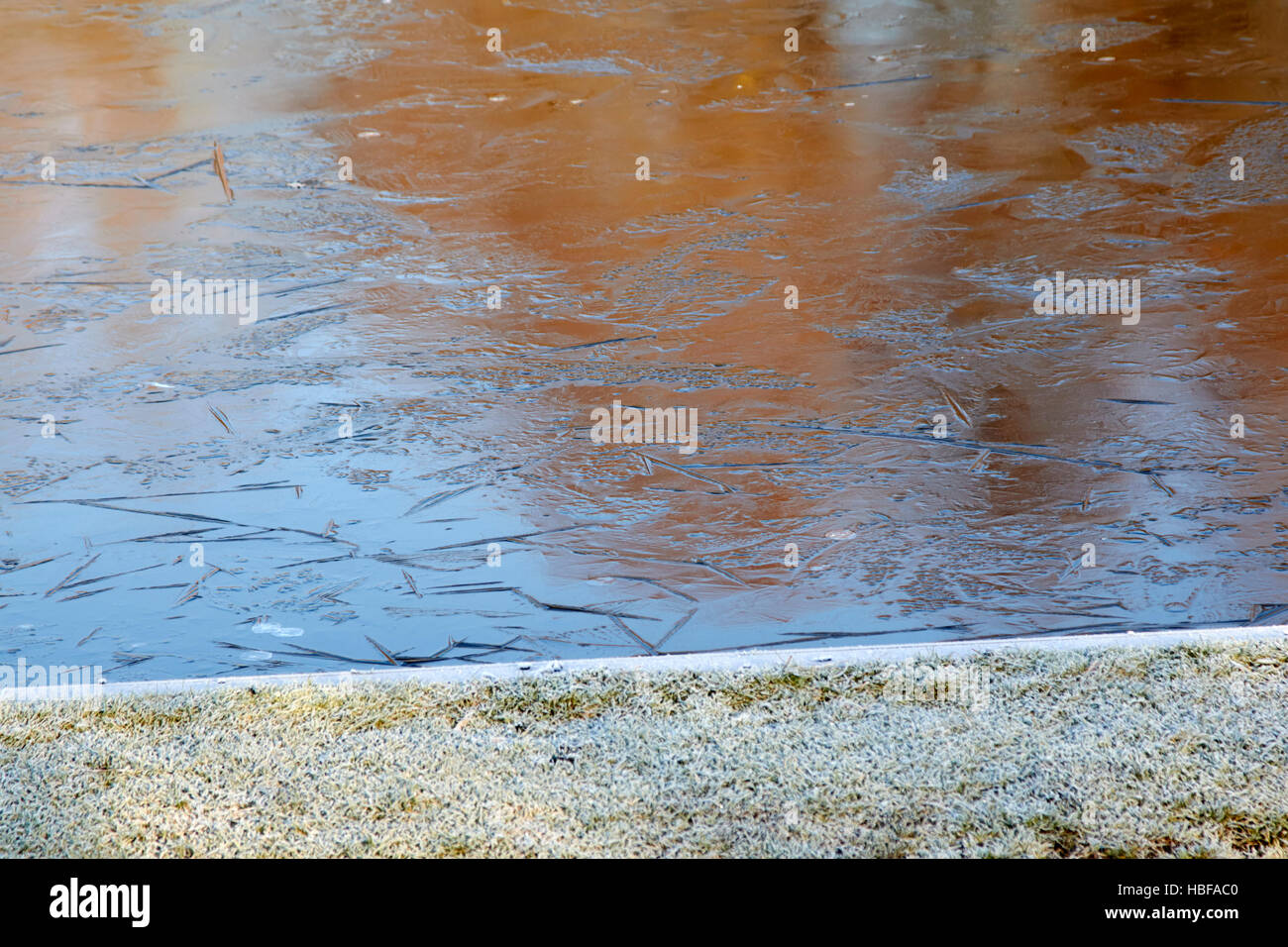 Laghetto Congelato stagno su un freddo inverno mattina nel Regno Unito Foto Stock